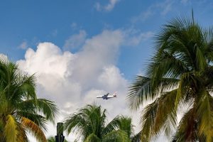 Updating Wills And Beneficiary Designations After Moving To Florida.